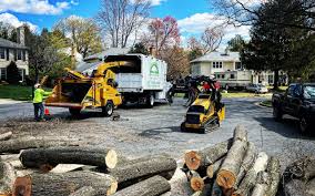 Best Tree Preservation Services  in Delta, CO