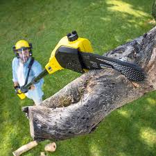 Best Lawn Mowing  in Delta, CO